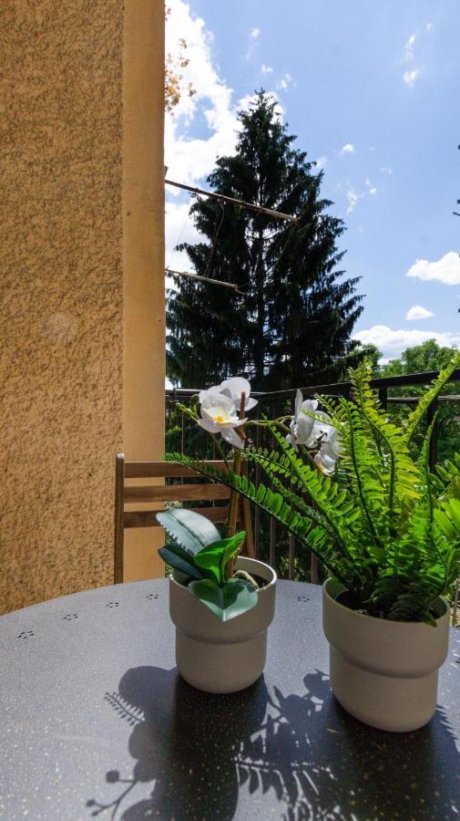 Lk43-Lodging City-Apartments, Kontaktlos Mit Self Check-In Graz Eksteriør bilde